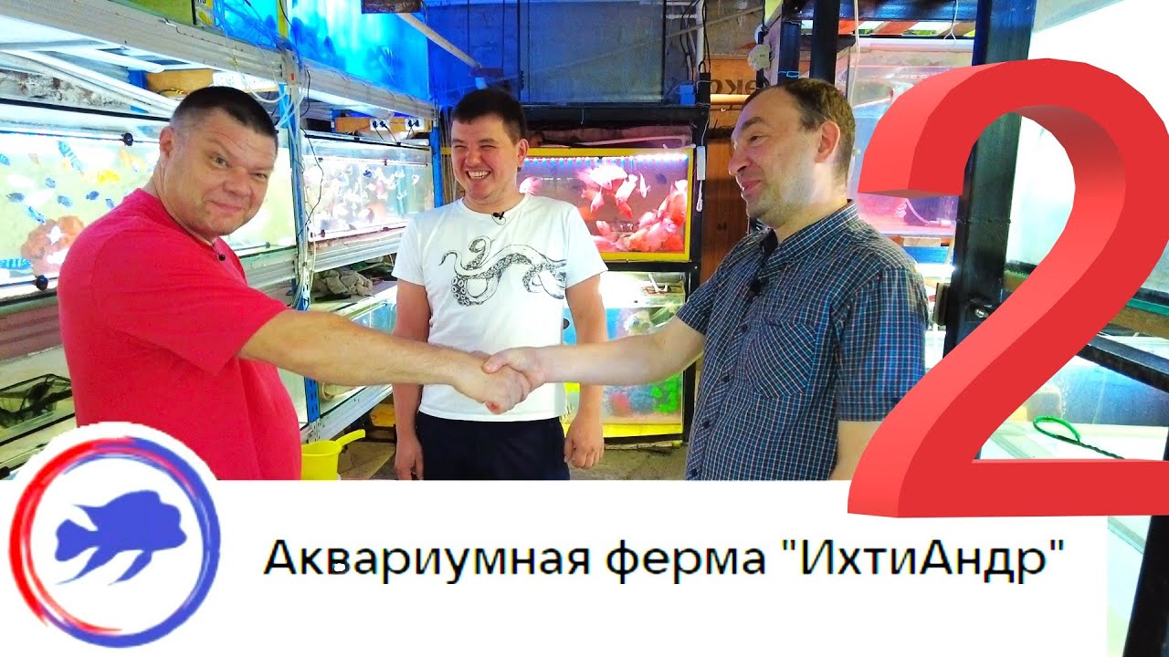 Аквариумная ферма ИхтиАндр г.Ростов-на-Дону. Часть 2