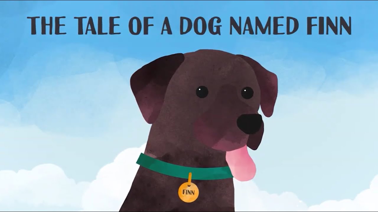 The tale of a dog named Finn