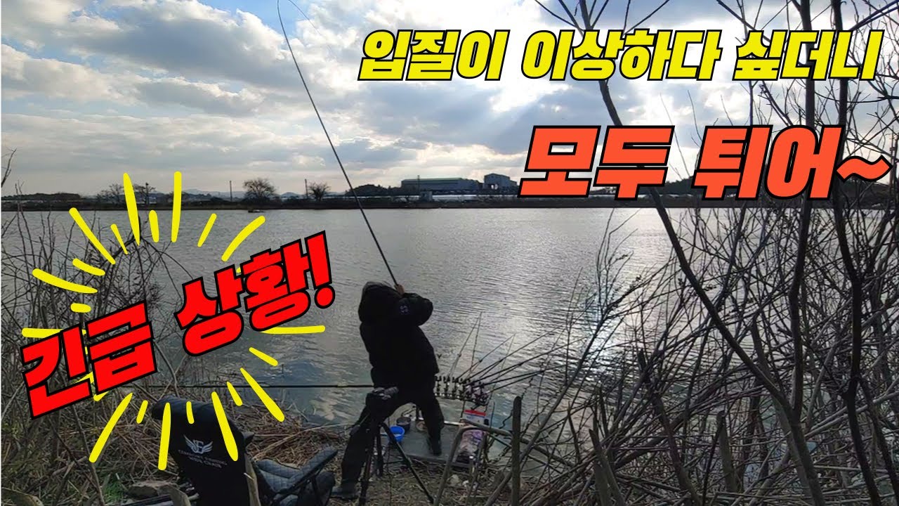 얼지 않는 곳을 찾아서 // 한겨울 손맛터//월척터로 변한 수로