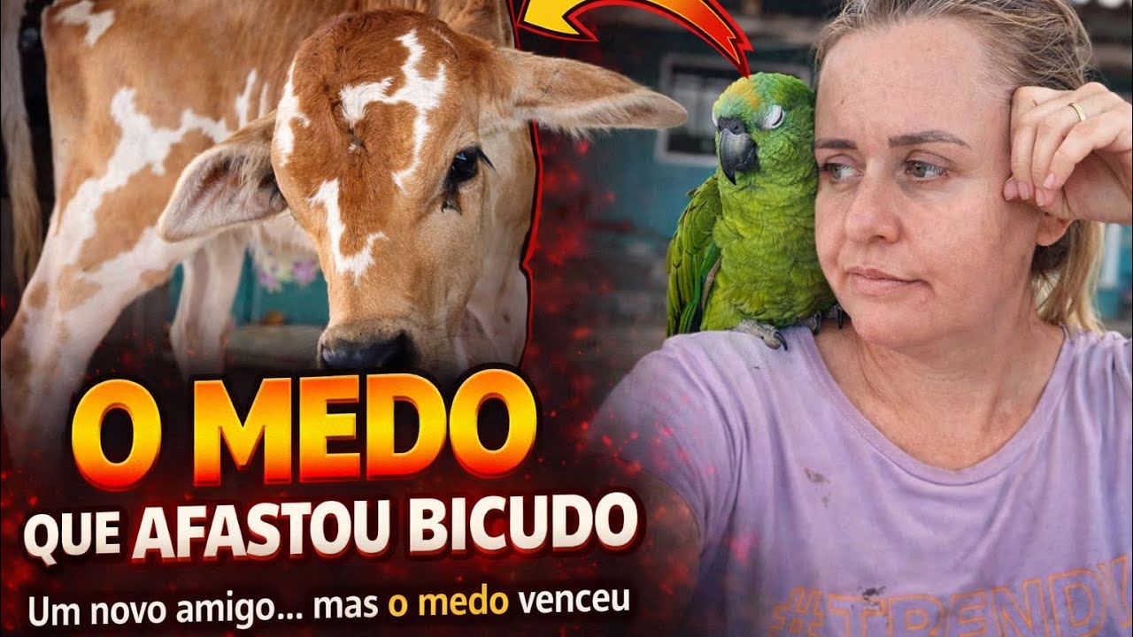 O Medo que Fechou o Coração de Bicudo