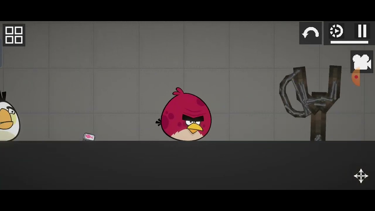angry birds in Melon playground part 2