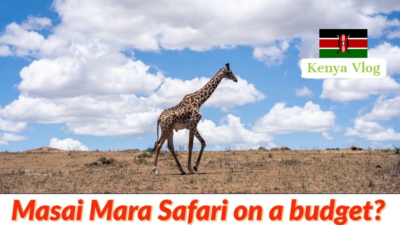 MASAI MARA SAFARI ON A BUDGET? Here is how I did it! [Kenya Vlog #5]