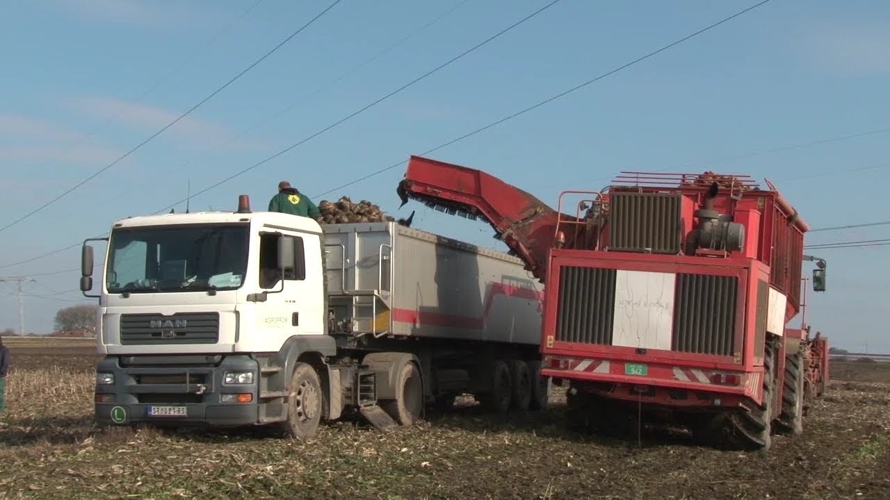 Šećerna repa čeka na transport