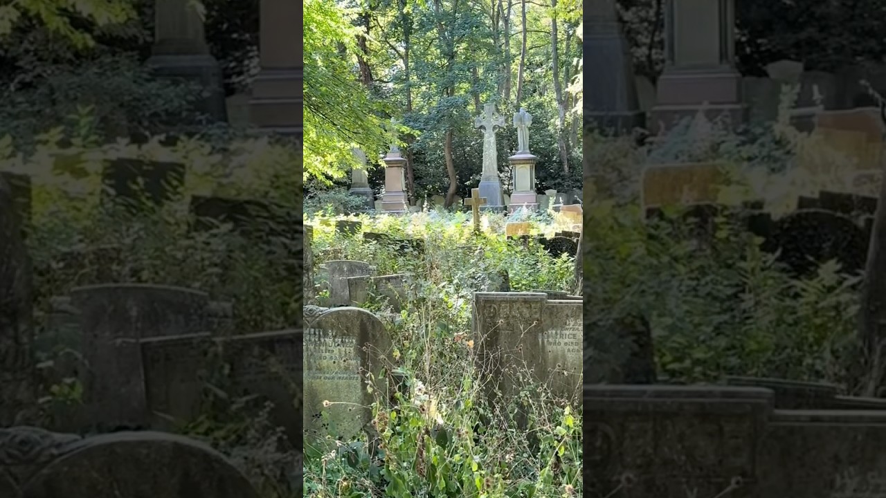 A peaceful walk around an old graveyard which is now a nature reserve 