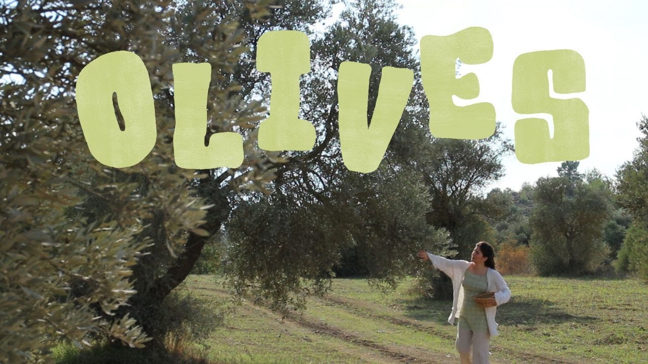 Preserve & Cook with GREEN OLIVES