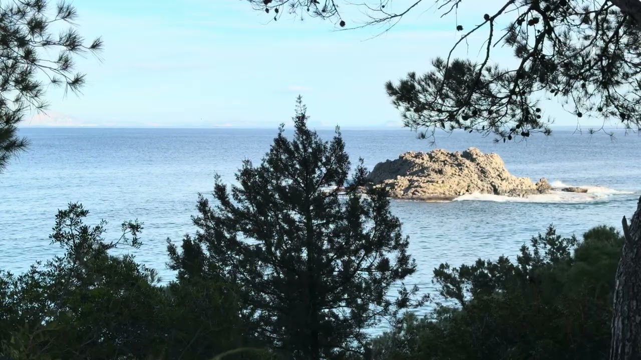 Calm Sea Sounds with Seagulls 🌊 Relaxing Nature Ambience | 1 Hour Sea View