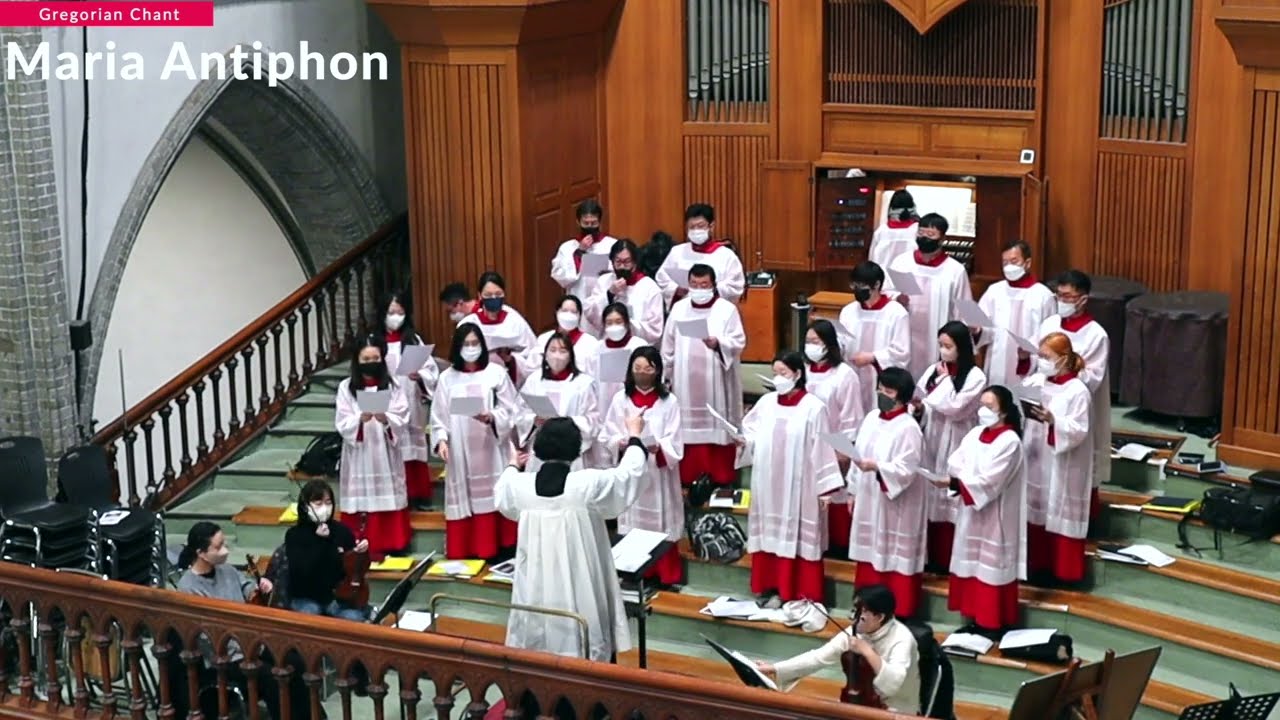 [서울대교구 주교좌 명동대성당 가톨릭합창단]  Maria Antiphon(성모찬송가)