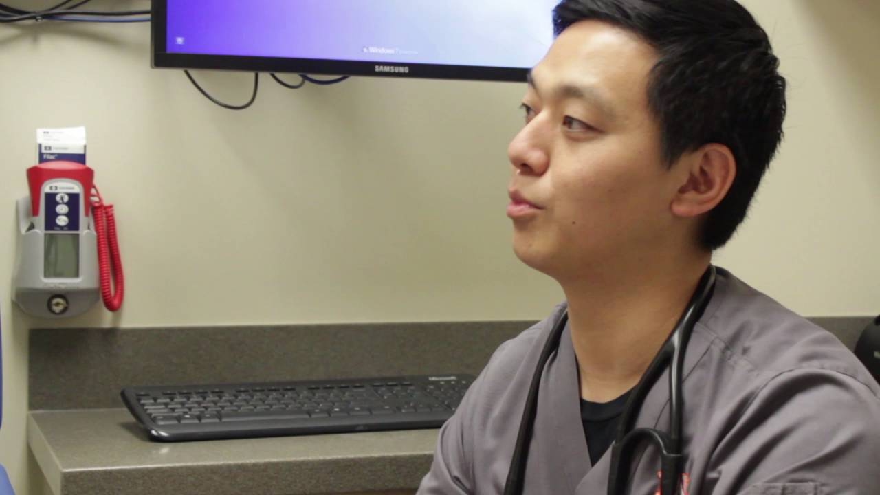 Emergency and Critical Care Service - Summer Heat Tips