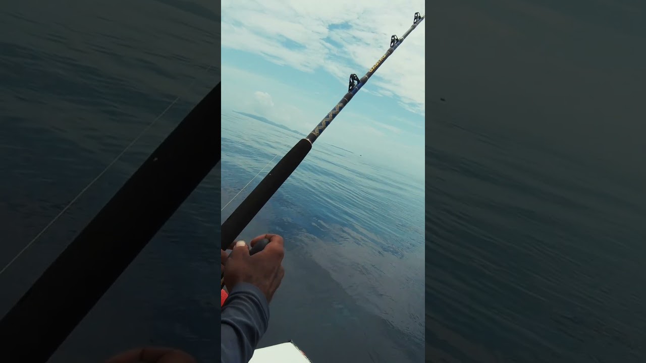 Точка зрения: Когда наконец-то случается самый сильный шторм 🎣🐟⚡ #островнаяжизнь #островнаяжизнь ...