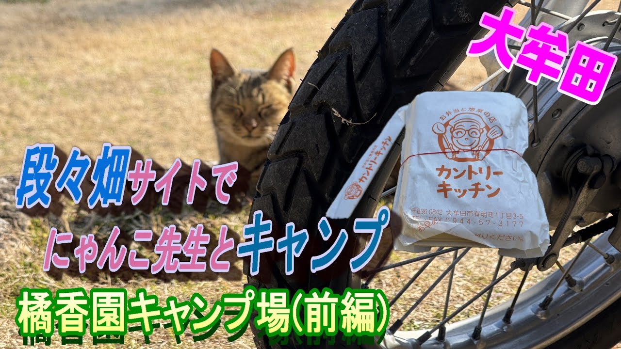 【六十路ライダー】(233）段々畑サイトでにゃんこ先生とキャンプ（橘香園キャンプ場ｰ前編）
