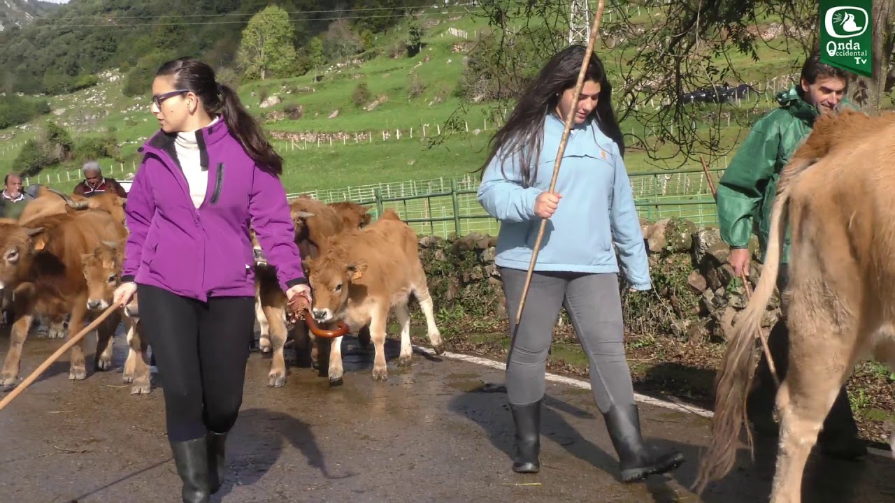 FERIA LAMASÓN 2019 - Onda Occidental Cantabria Radio y TV