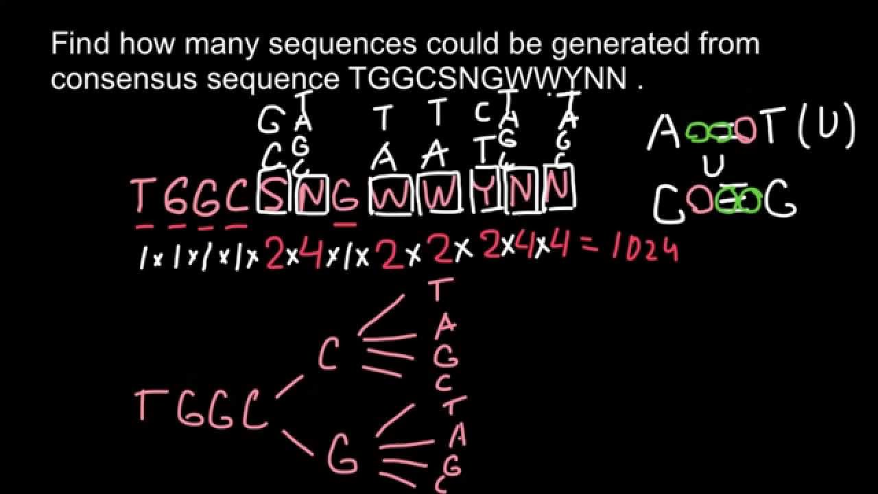 Consensus sequence - probability problem