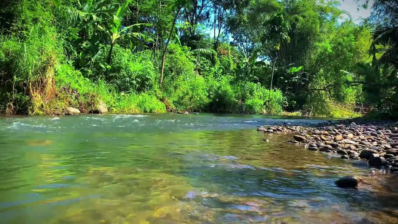Real Nature River Sounds for Powerful Stress Relief