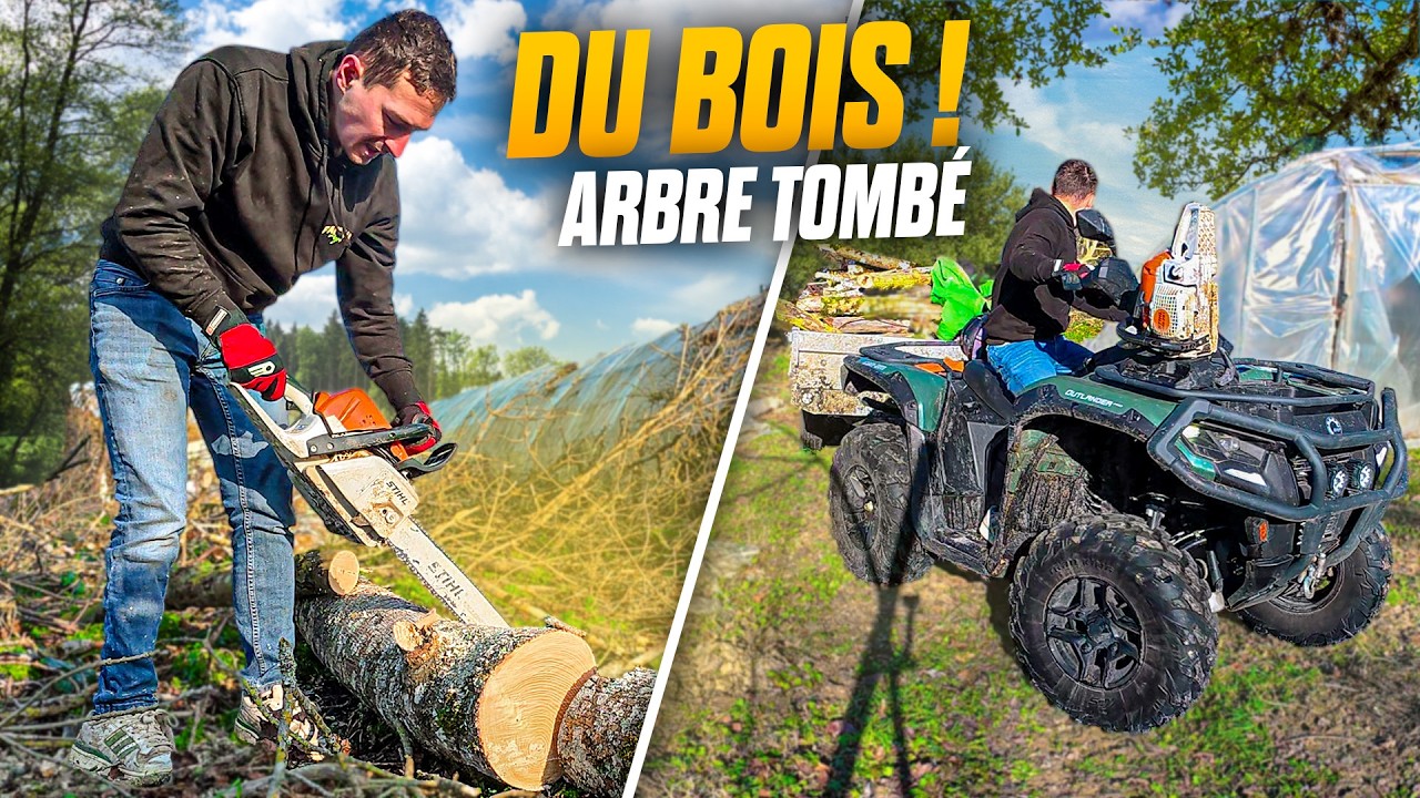 DU BOIS DU BOIS PENDANT L'HIVER !