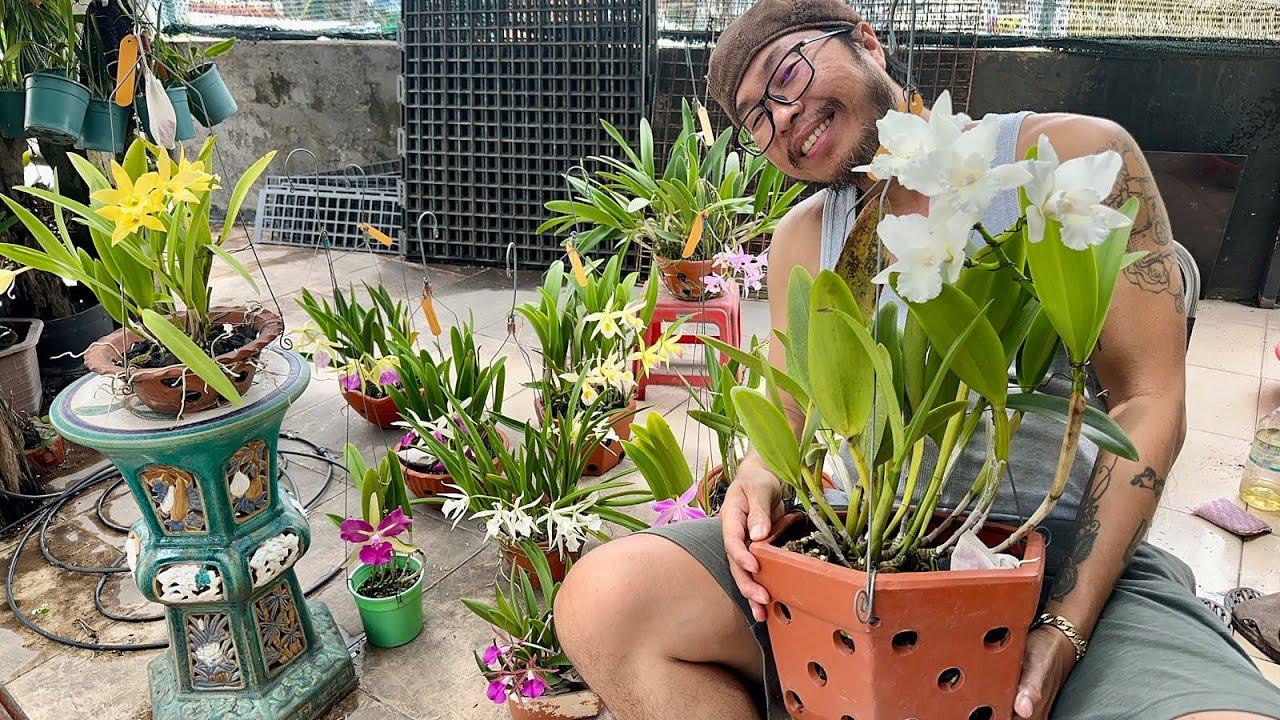 🌸 Tập 104 | Khám Phá Vườn Lan Tại Sài Gòn -Tưới Lan Catt đúng cách là như thế nàot? 🌸