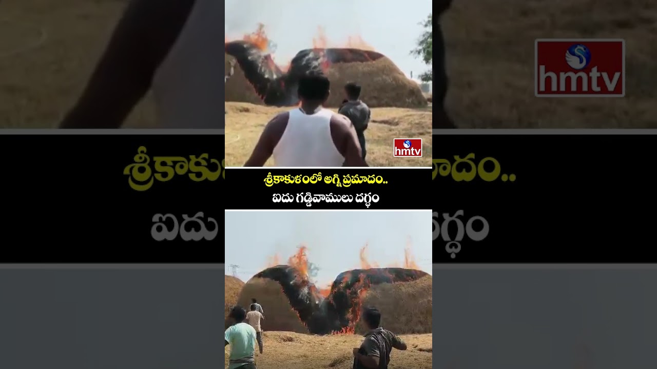 శ్రీకాకుళంలో అగ్ని ప్రమాదం..ఐదు గడ్డివాములు దగ్ధం | Fire Incident At Srikakulam | hmtv