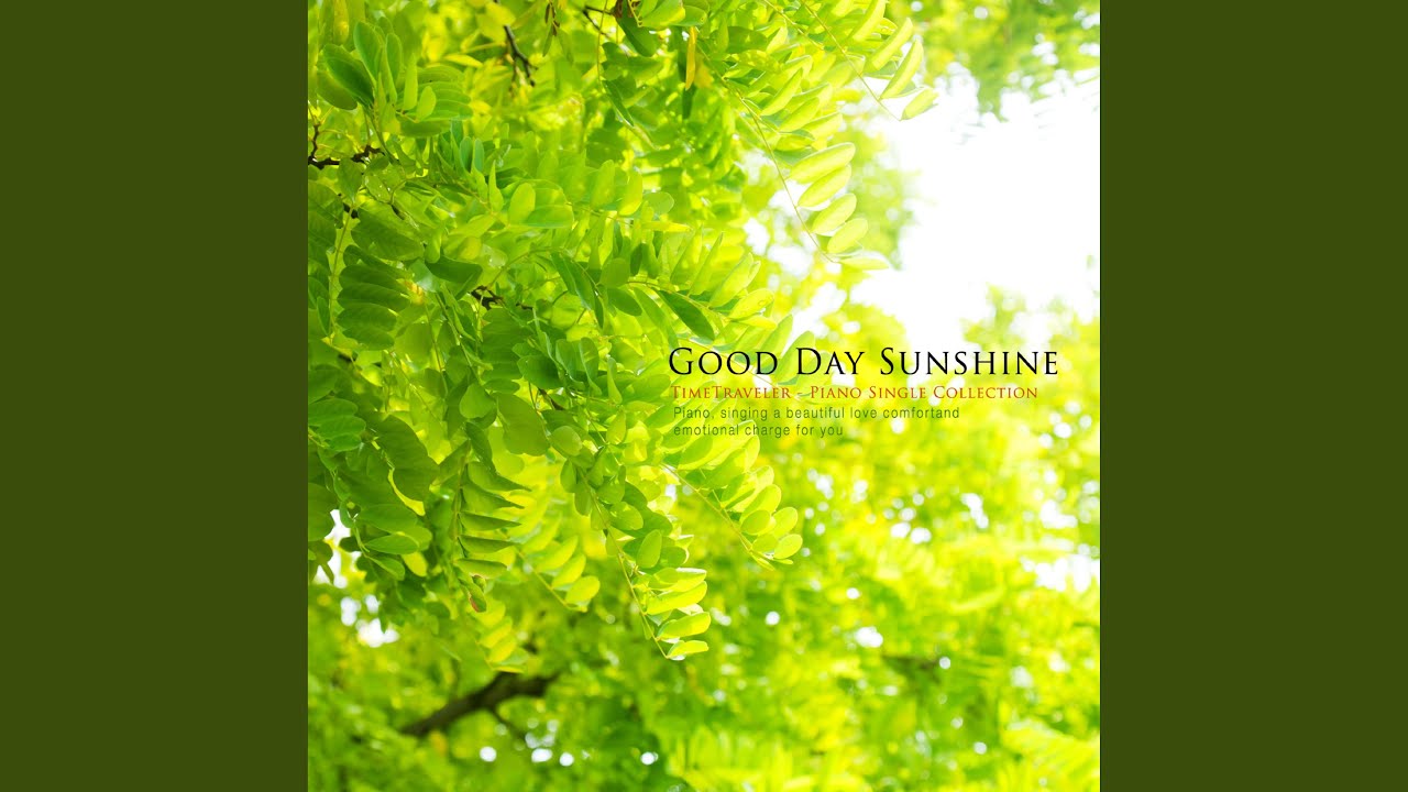 A Good Sunny Day