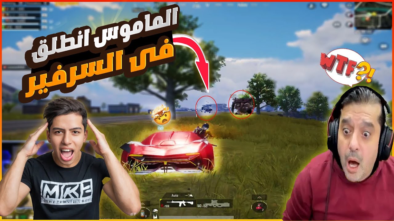 عبود يتفاجئ بماموس يجرى وراء بعضه فى السرفير ويبش على الناس 😂😱😱