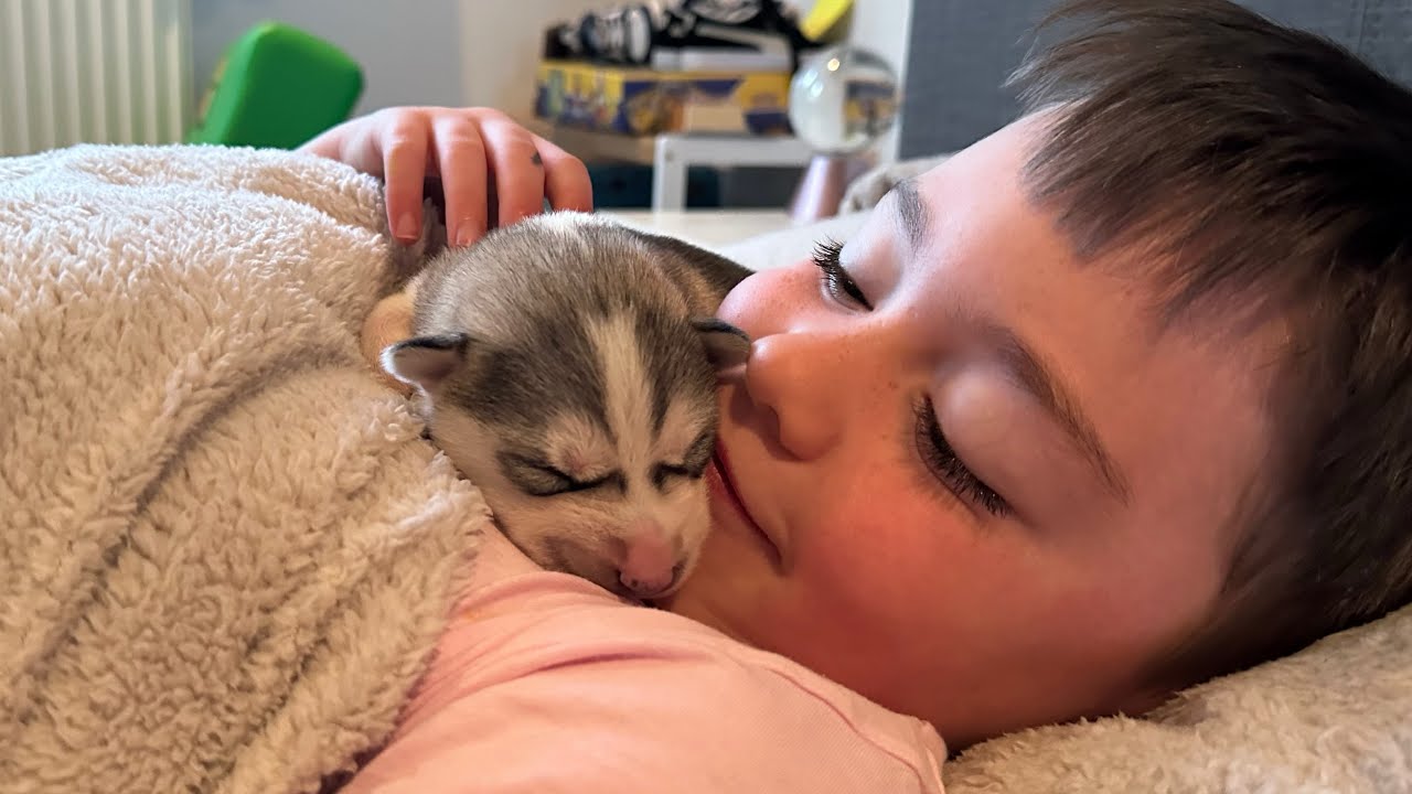 Waking Our Son Up With A New Tiny Husky Puppy! [CUTEST REACTION EVER!!]