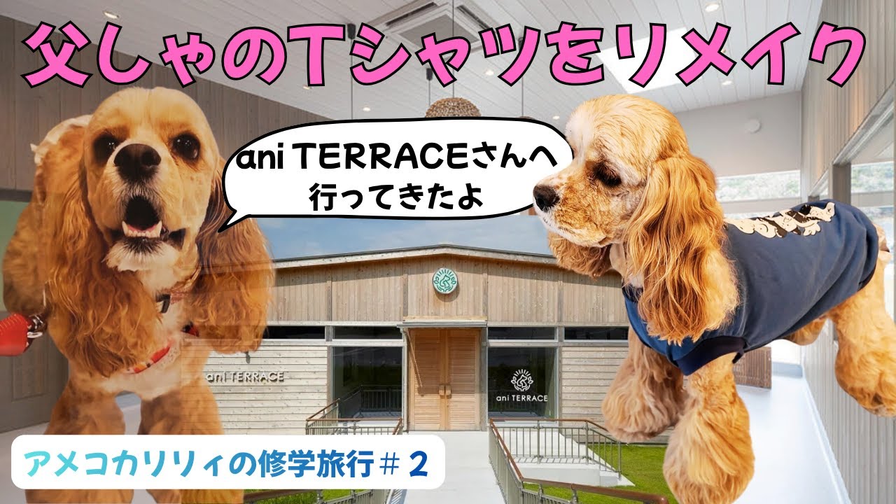 【三重県】リリィ家修学旅行＃２リリィさんアニテラスさんへゆく