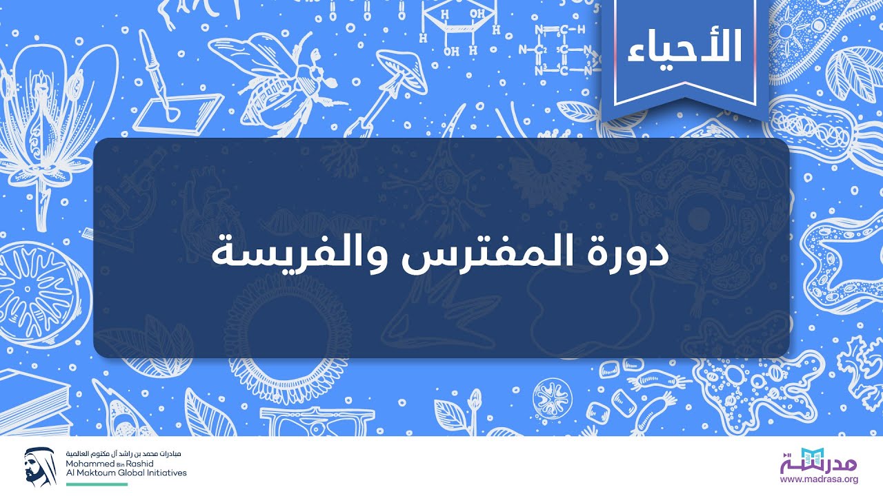 دورة المفترس والفريسة | الأحياء | علم البيئة
