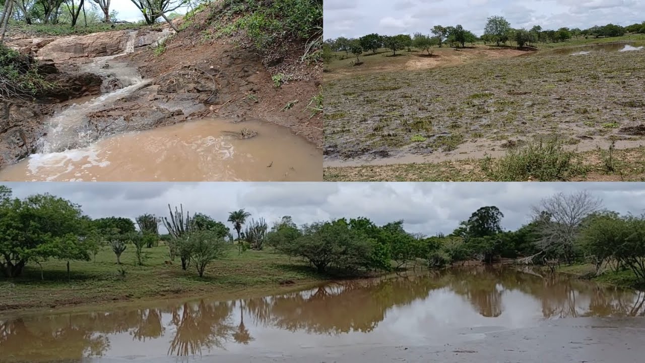 VEJAM AS CHUVAS VOLTOU COM BASTANTE INTENSIDADE  AQUI NO NORDESTE 