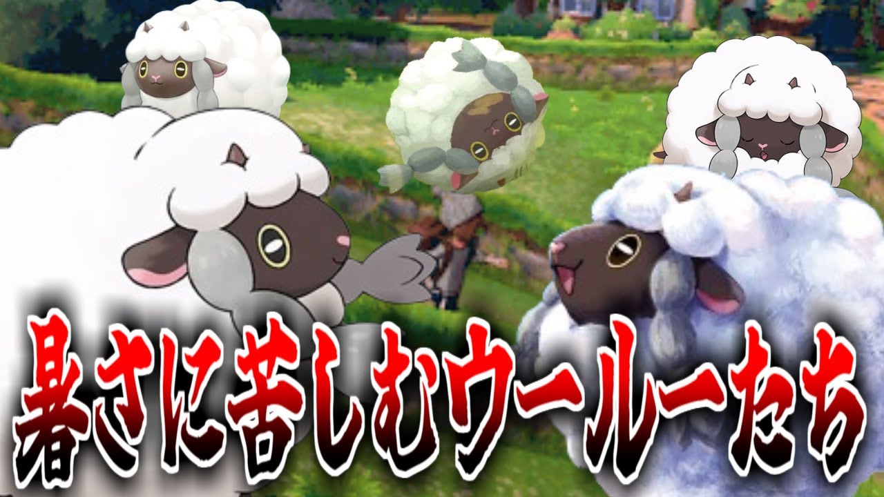 記録的酷暑に激怒するウールー達に対するみんなの反応集【ポケモンの反応集】【ポケモンニュース】