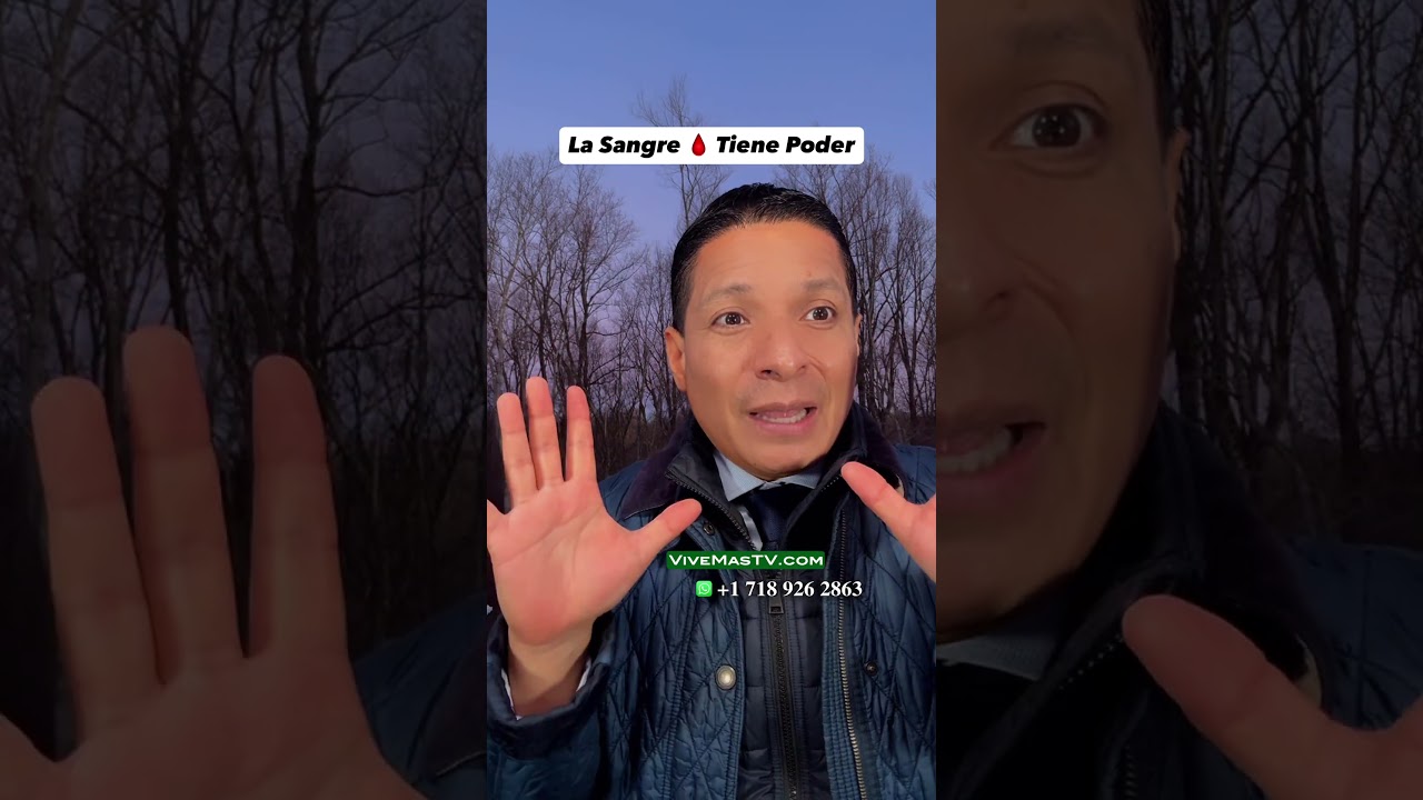 #sabiduriadedios #oraciondelatarde #oracionpoderosa #feendios #jesucristo