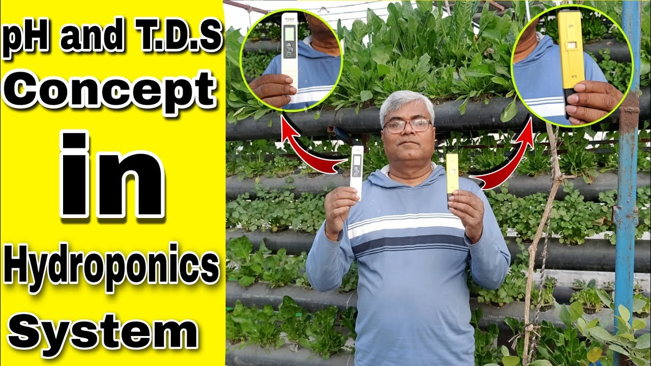 |Hydroponics| Real concept of T.D.S and pH in Hydroponics system. Solution का T.D.S कितना रखे।