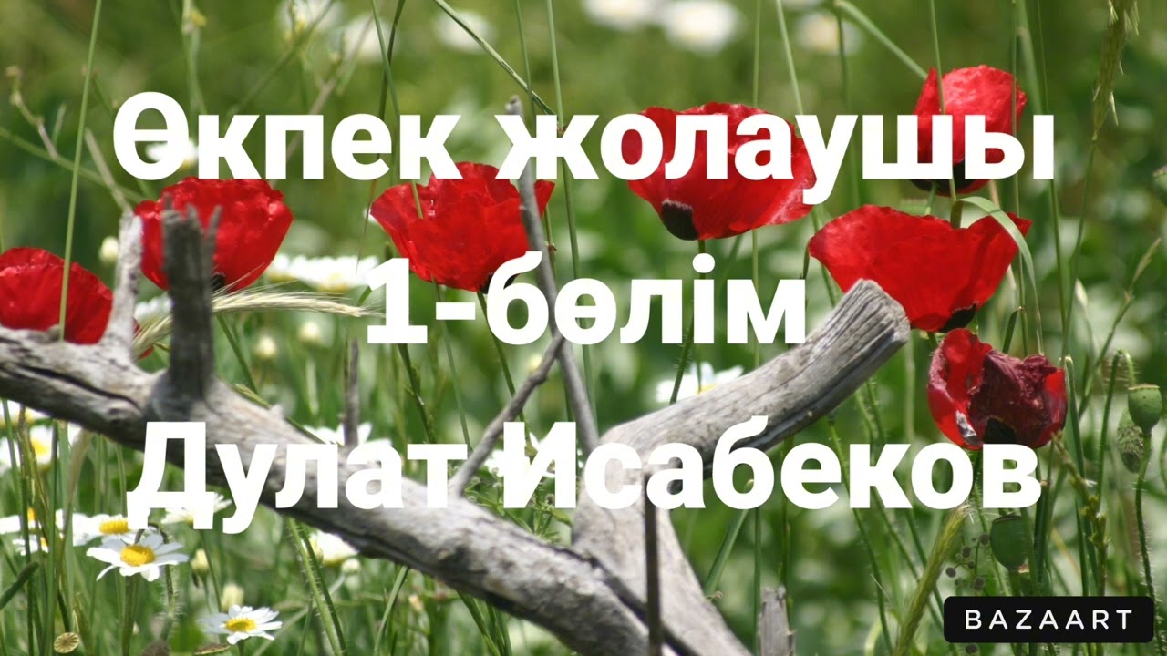 Дулат Исабеков.Өкпек жолаушы 1-бөлім