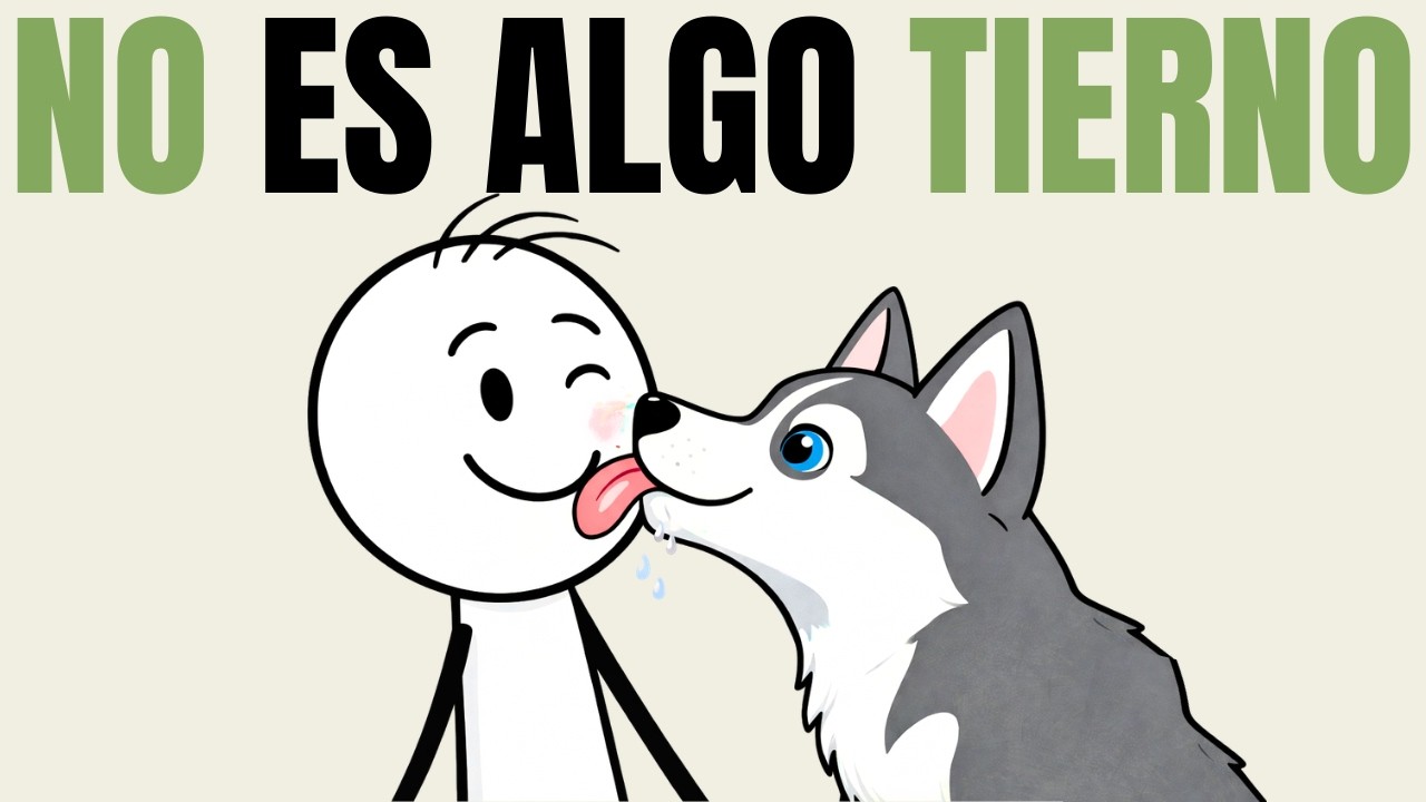Cuando los perros te LAMEN, esto es lo que REALMENTE significa