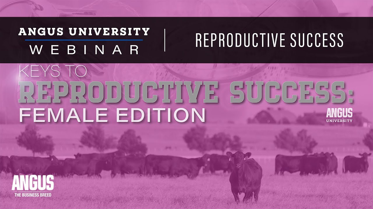 Female Reproductive Success | WEBINAR - Dec. 13, 2022 - Dr. Bob Larson