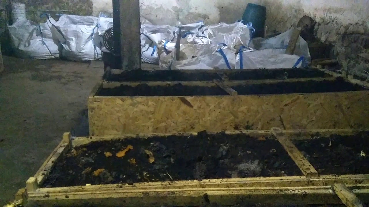 Solucan satan çok,, gübre satan yokk neden???