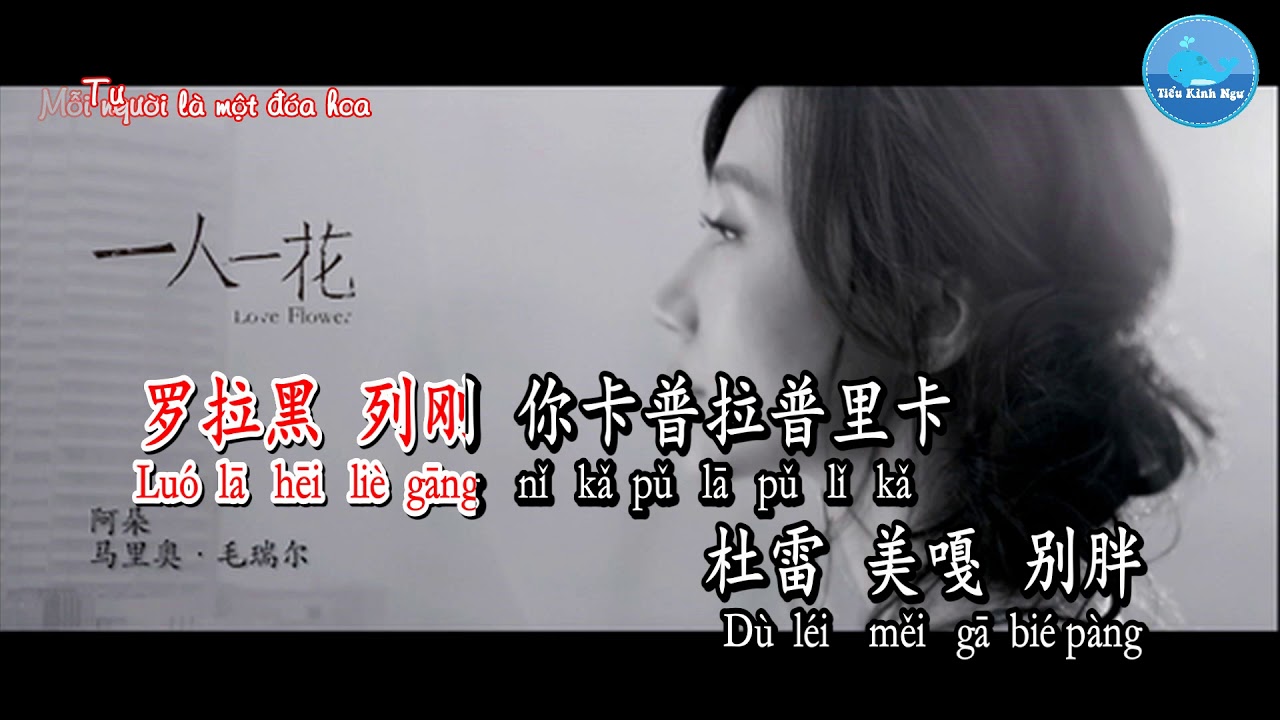 Nhất Nhân Nhất Hoa [一人一花[ – A Đóa  [阿朵] (Karaoke)