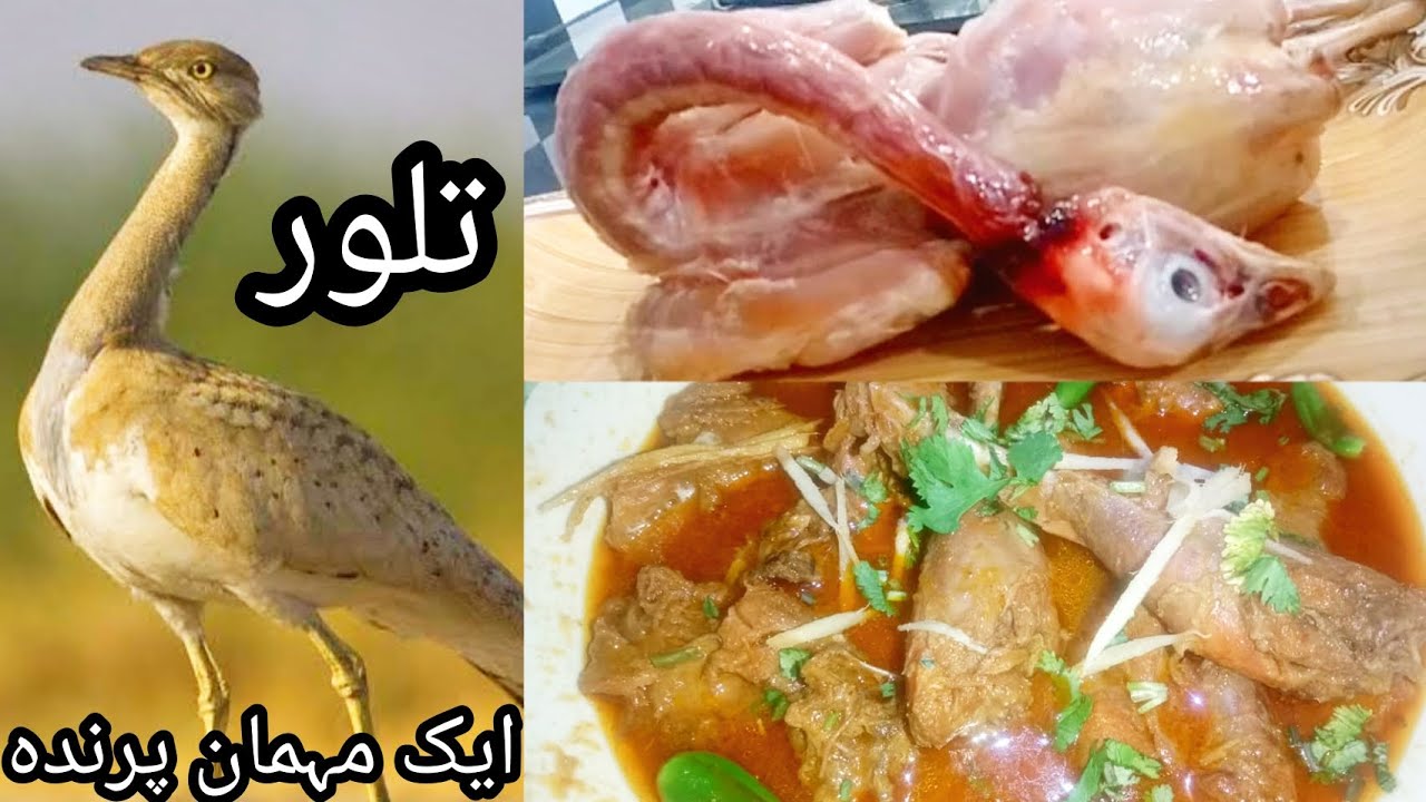 Taloor Banane Ka Tarika | How to Cook Houbara Bustard (Taloor) At Home | Arab Sheikhs Fvt Breakfast