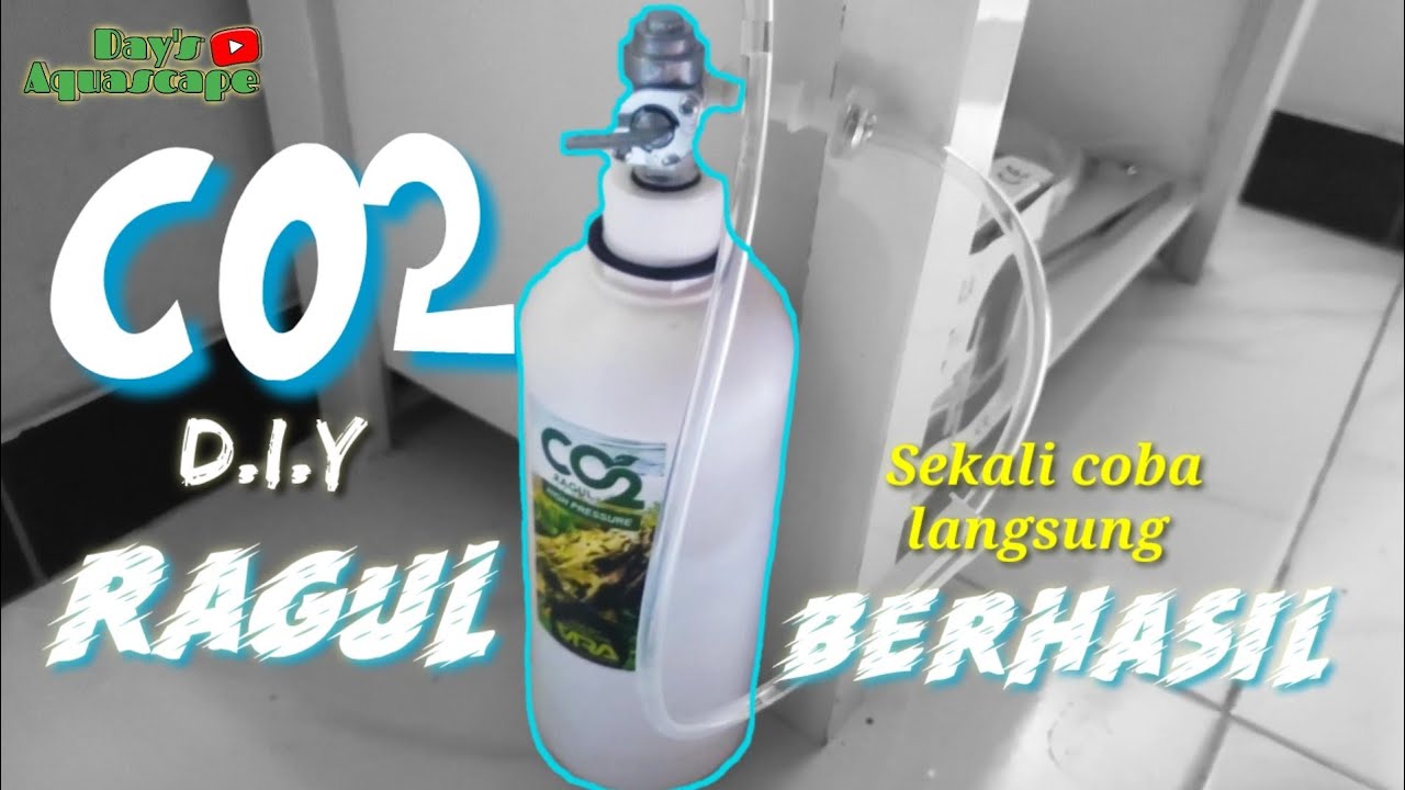 CARA MERACIK DAN MEMASANG C02 D.I.Y RAGUL - UNBOXING DAN REVIEW