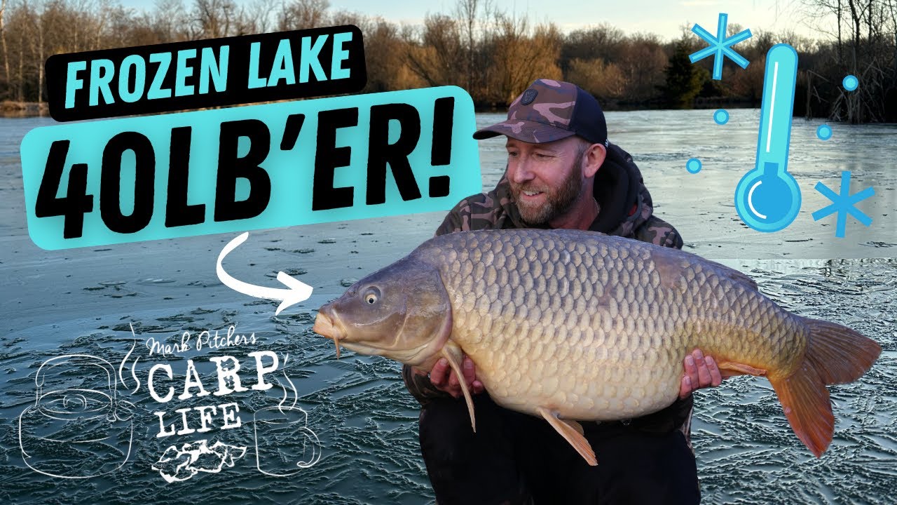Carp Life — ловля БОЛЬШОГО карпа в ЗАМЕРЗАЮЩЕМ ОЗЕРЕ! 🥶