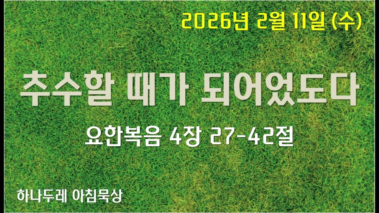 20260211 (수) 요 4장 27-42절 (추수할 때가 되었도다)