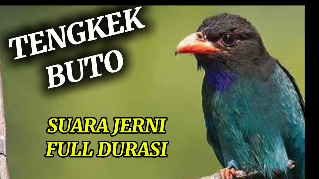 TENGKEK BUTO SUARA JERNIH FULL DURASI