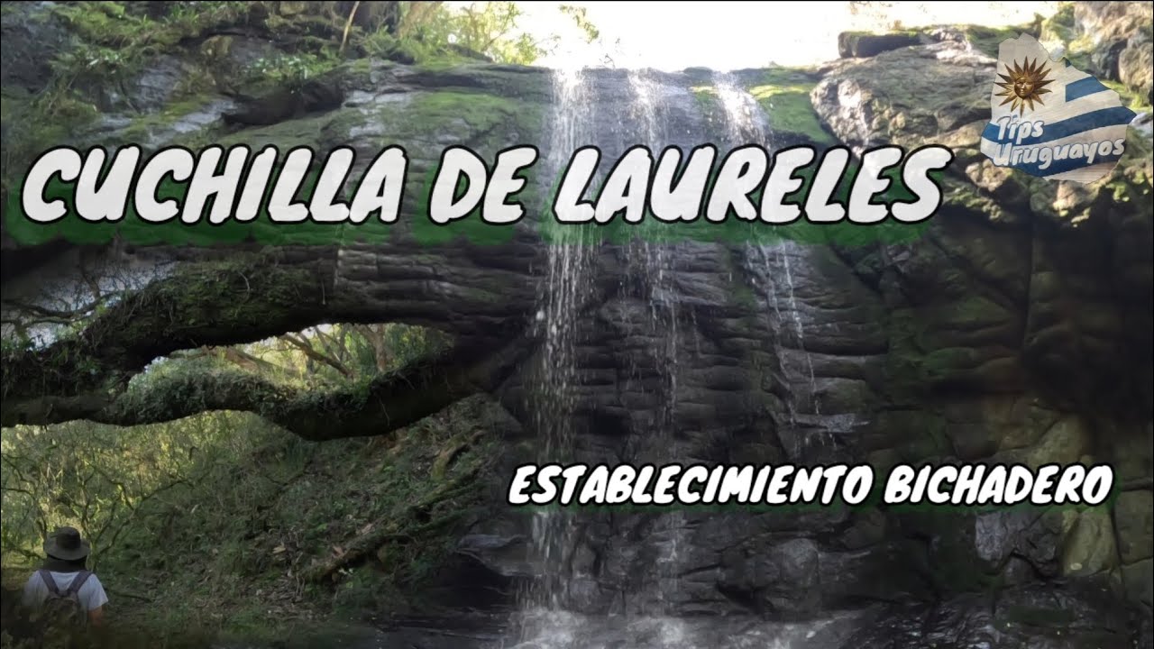 CUCHILLA DE LAURELES , ESTABLECIMIENTO BICHADERO , QUEBRADAS DEL NORTE  - TACUAREMBÓ  - URUGUAY .
