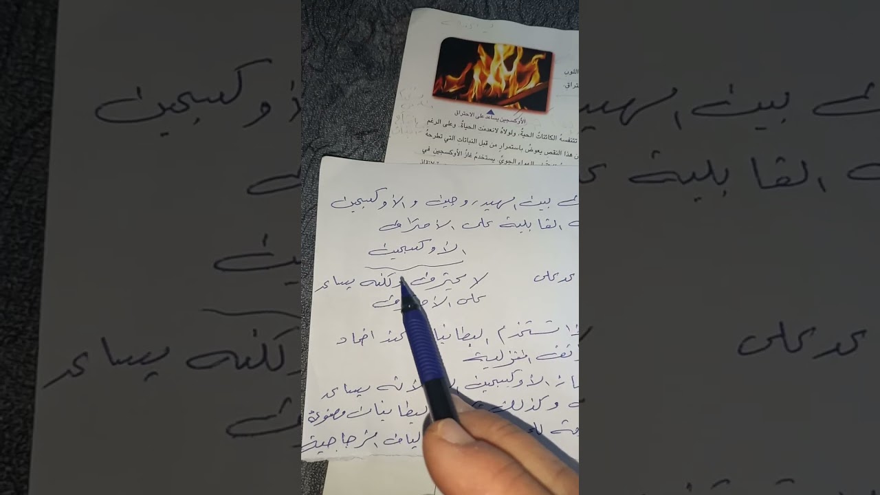 ١٩ ديسمبر ٢٠٢٥