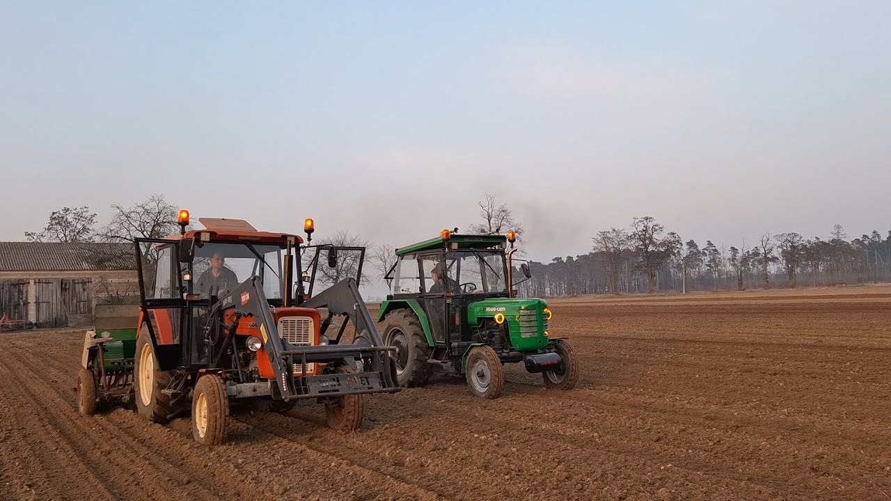 Siew owsa 🤙💪40stka na przelocie 🤔 i ten ryk 🤩💪i  ursus c-360w akcji #agro #ursus4011  #agriculture