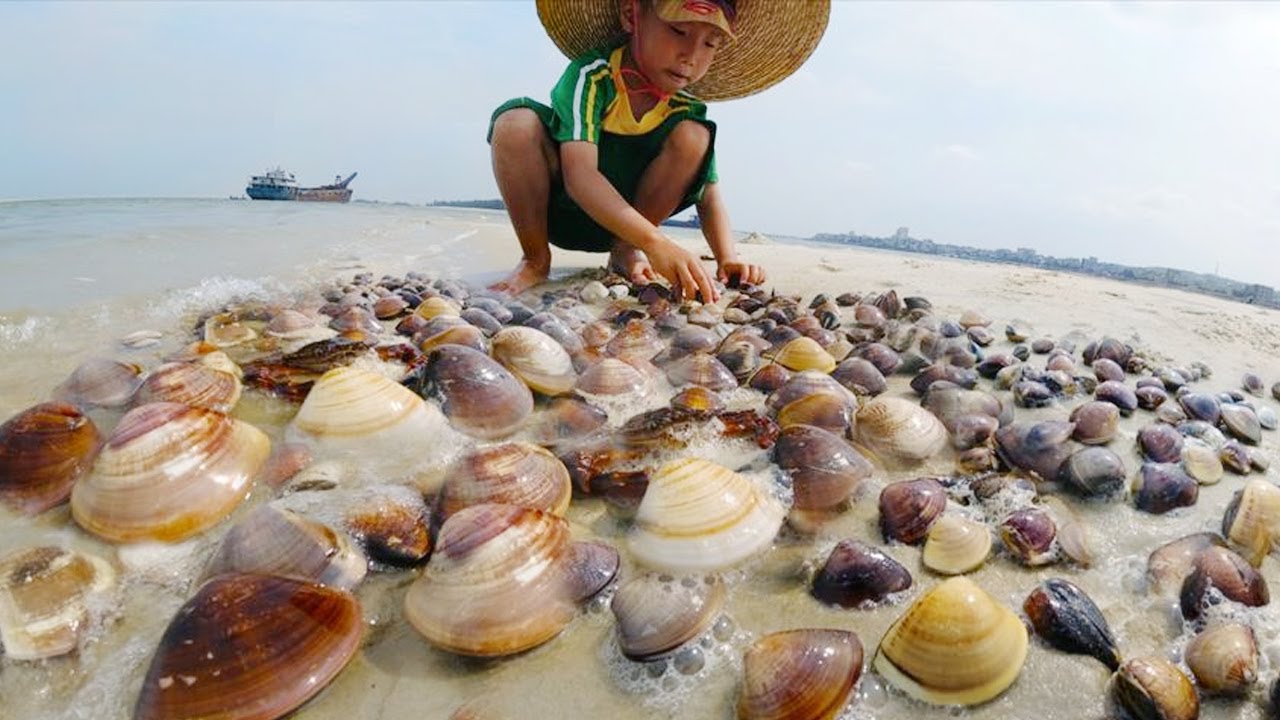 阿聪赶海遍地都是蛤蜊，一下子掏了20斤，带回家蒜蓉爆炒吃太爽了！【渔岛阿聪】