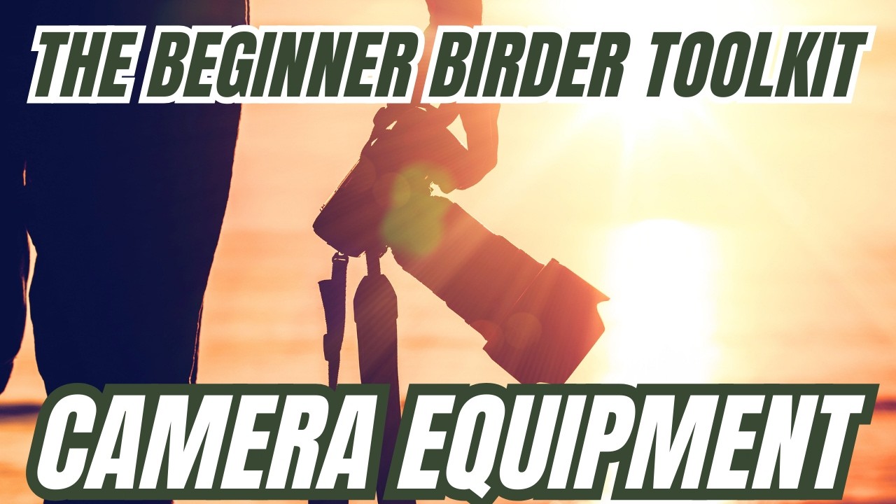 Beginner Birder Toolkit | My Camera, Bird Photography Gear, and What I Use in the Field
