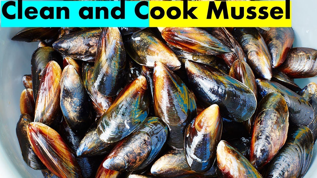 Goan Mussel Fried & How to clean  Mussels & Cook | Debeard Mussels | Zob Cleaning