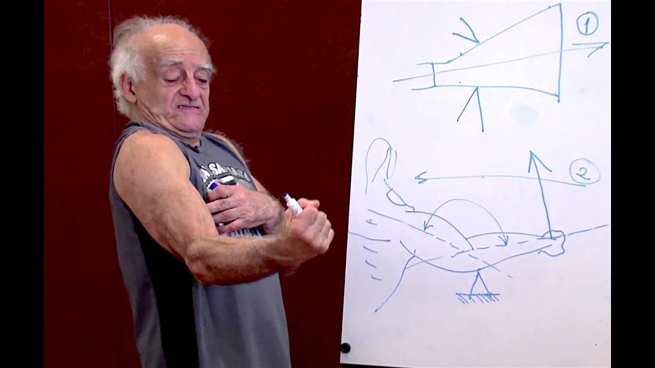 Roberto Leitao - Engenheiro da Luta Livre