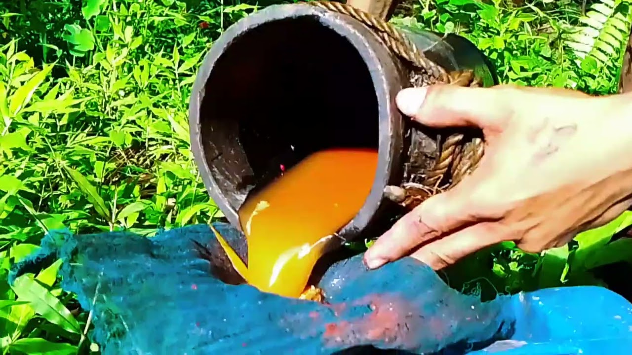 [WCD Competition] From Tree to Bottle