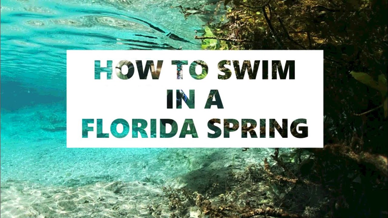 How to Swim in a Florida Spring