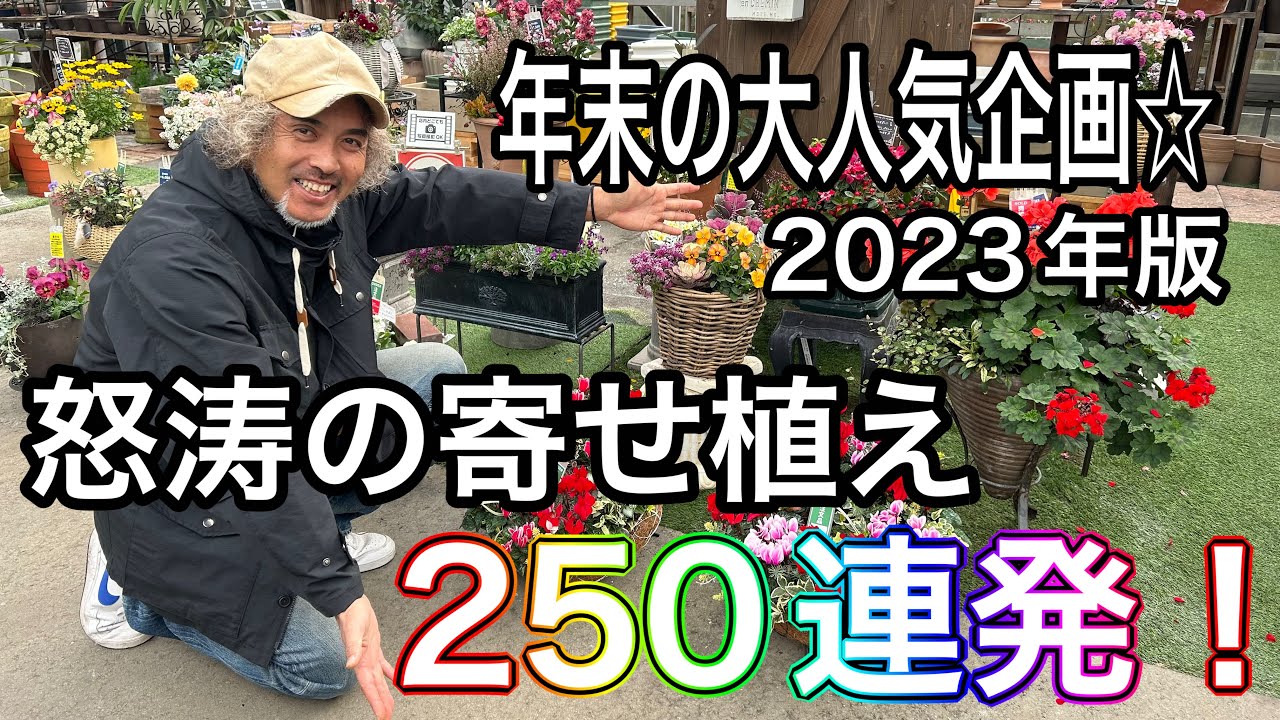 【寄せ植え】大人気企画！怒涛の寄せ植え250連発☆2023