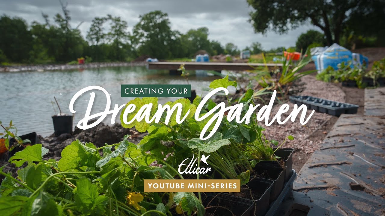 EPISODE 8: How to Plant a Natural Pool for Wildlife & Beauty